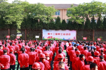 世界杯直播客户端下载-赛场培壮友谊树  职场画好同心圆|永东|第十二届职工运动会|永东股份|职工运动会|山西省_新浪体育_新浪新闻